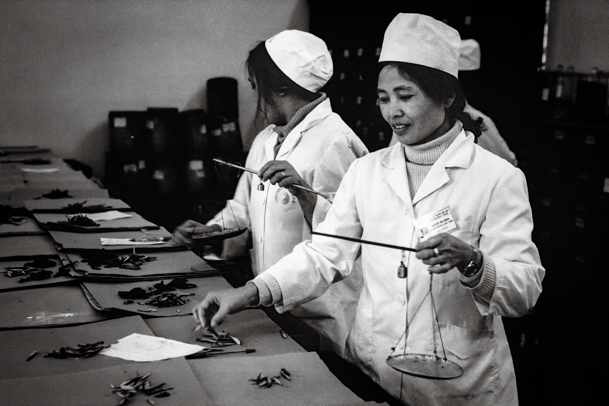 Nguyen Thi Khoa, pharmacy, Institute of Traditional Medicine, 1992 / Nhà thuốc, Viện Y Học Cổ Truyền Trung Ương, 1992